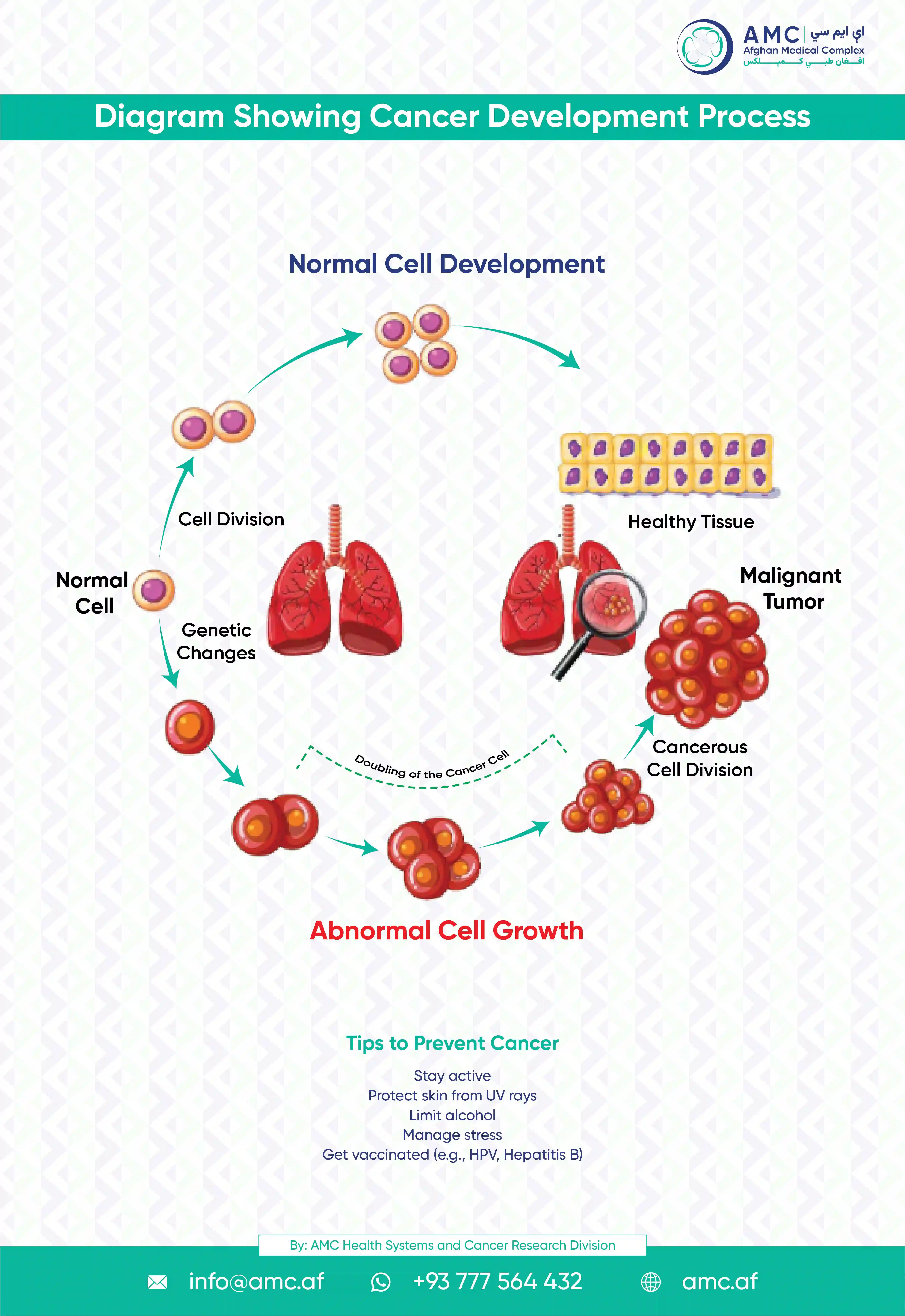 Diagram showing cancer...