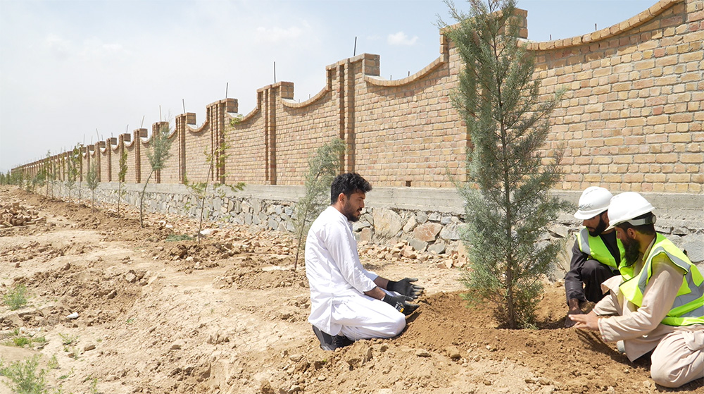 AMC: A FUTURE IN PROGRESS